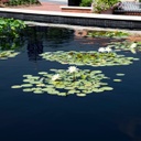 Pond Dye - Black - (2) 4oz Water Soluble Packs